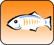 Glassfish
